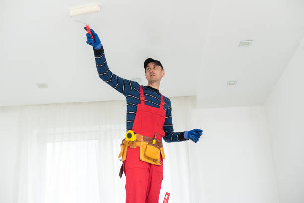 Best Trim and Molding Painting  in Rainbow Lakes Estates, FL